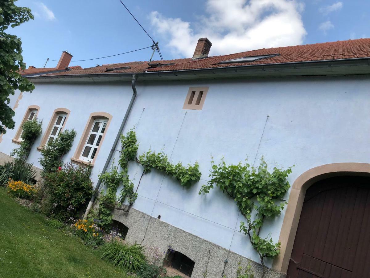 Ferienwohnung Maurer Hasborn-Dautweiler Extérieur photo